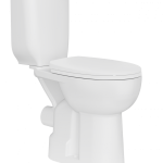BD315 Handicapped P-Trap Pan
