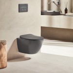 FE322 Free Wall Hung Pan - Anthracite Matt