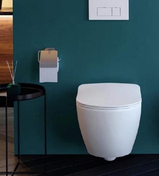 FE322 Free Rim-Off Wall Hung Pan